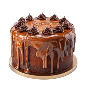 Chocolate raspberry 8"
